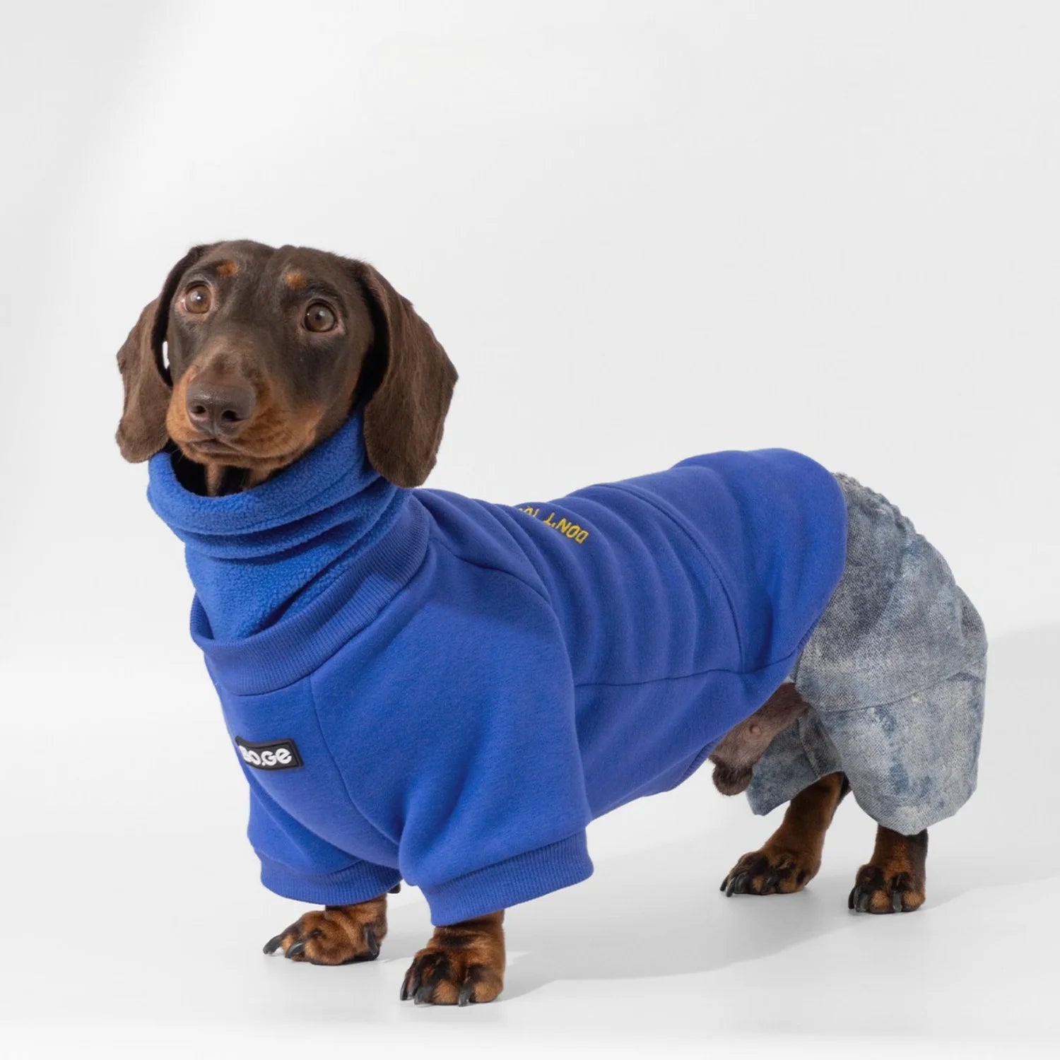 Klein Blue Hoodie & Denim Set for Dachshunds