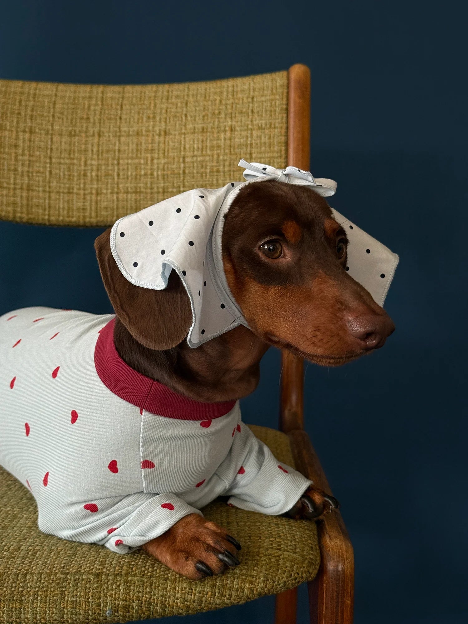 Light Blue Heart Onesie Pajama for Dachshund