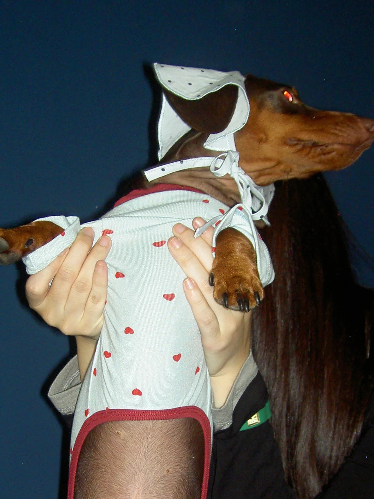 Light Blue Heart Onesie Pajama for Dachshund