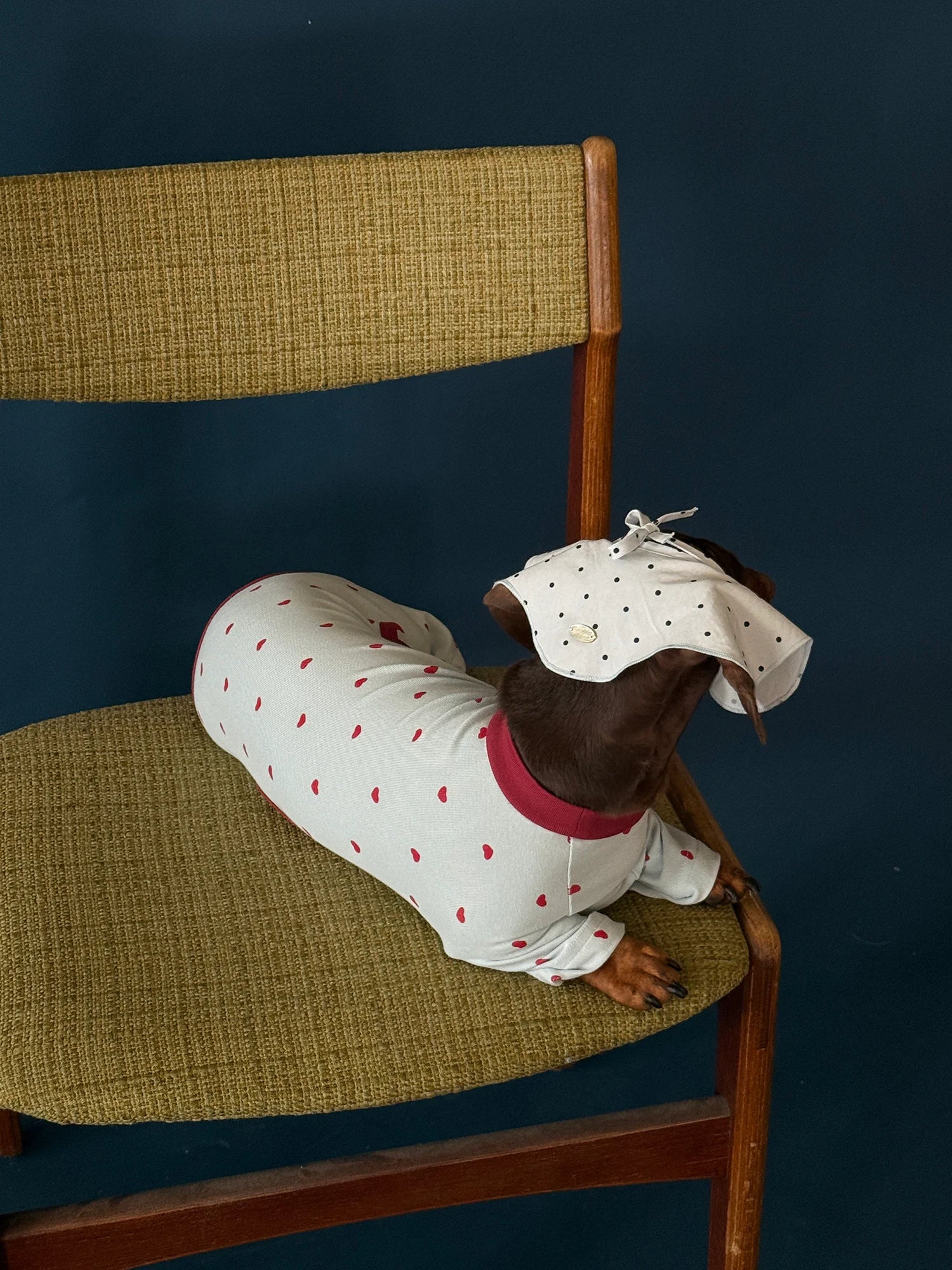 Light Blue Heart Onesie Pajama for Dachshund