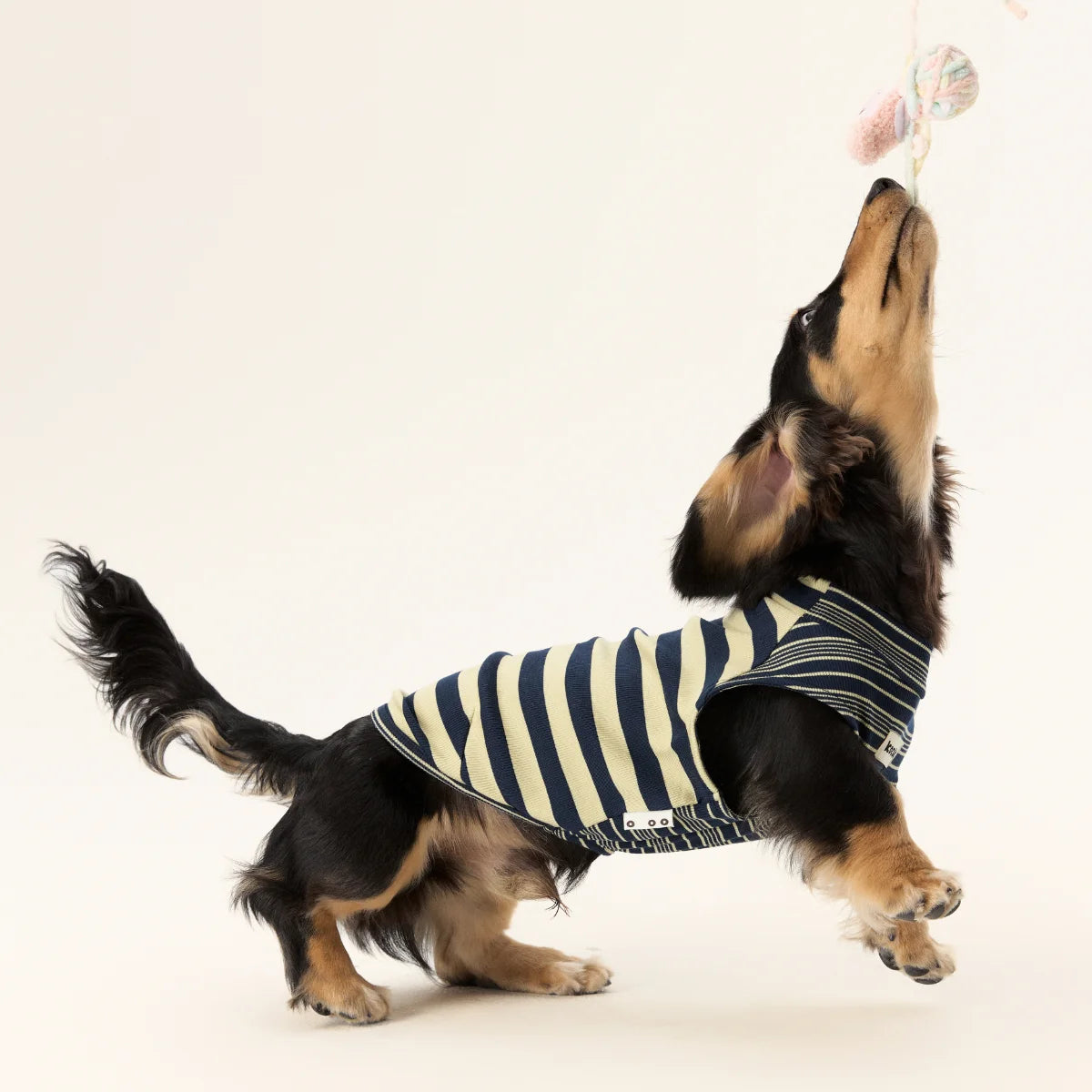 Lyocell Striped Tank Top for Dachshunds