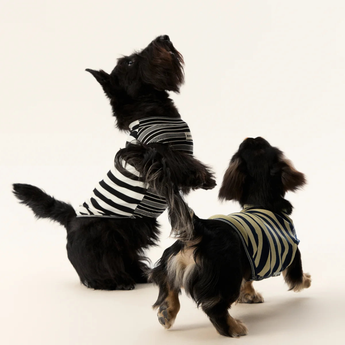 Lyocell Striped Tank Top for Dachshunds
