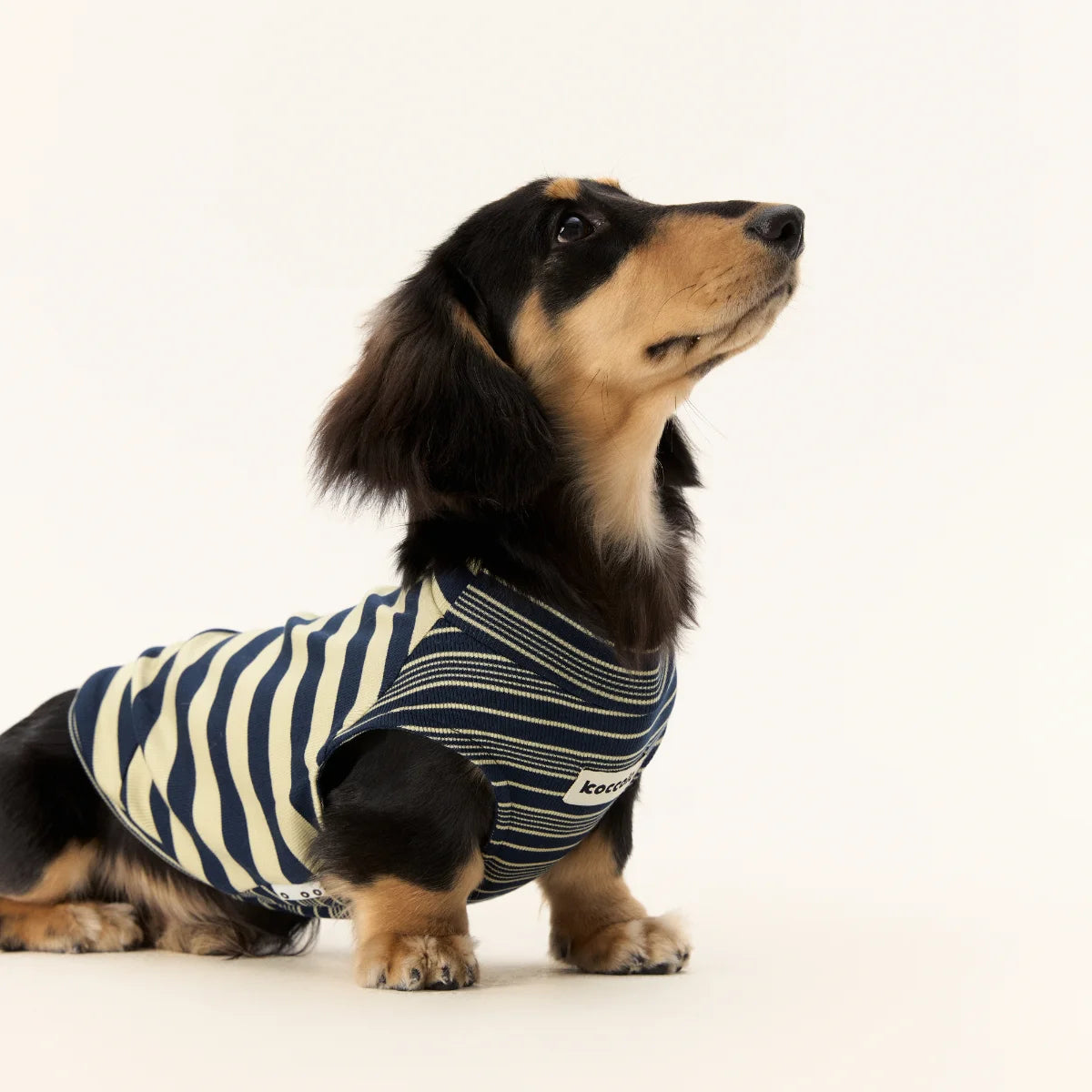 Lyocell Striped Tank Top for Dachshunds