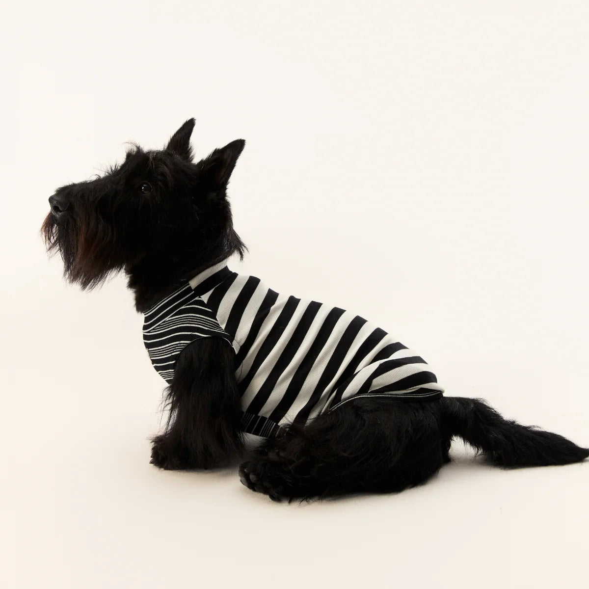 Lyocell Striped Tank Top for Dachshunds
