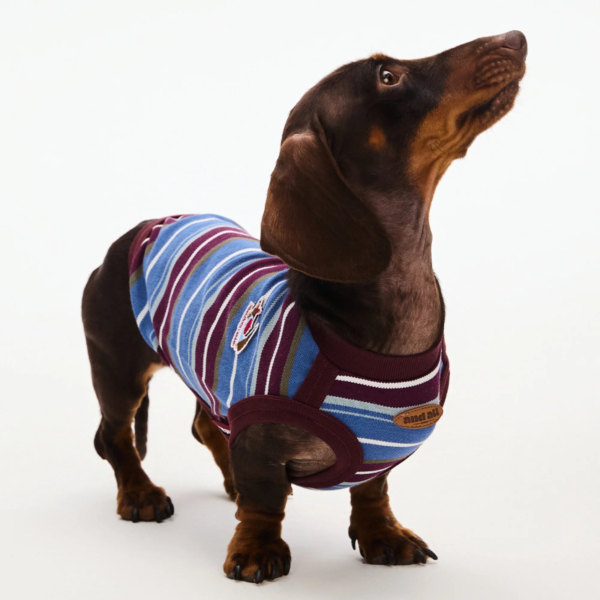 Matching Striped Summer Outfit for Dachshunds & Owners