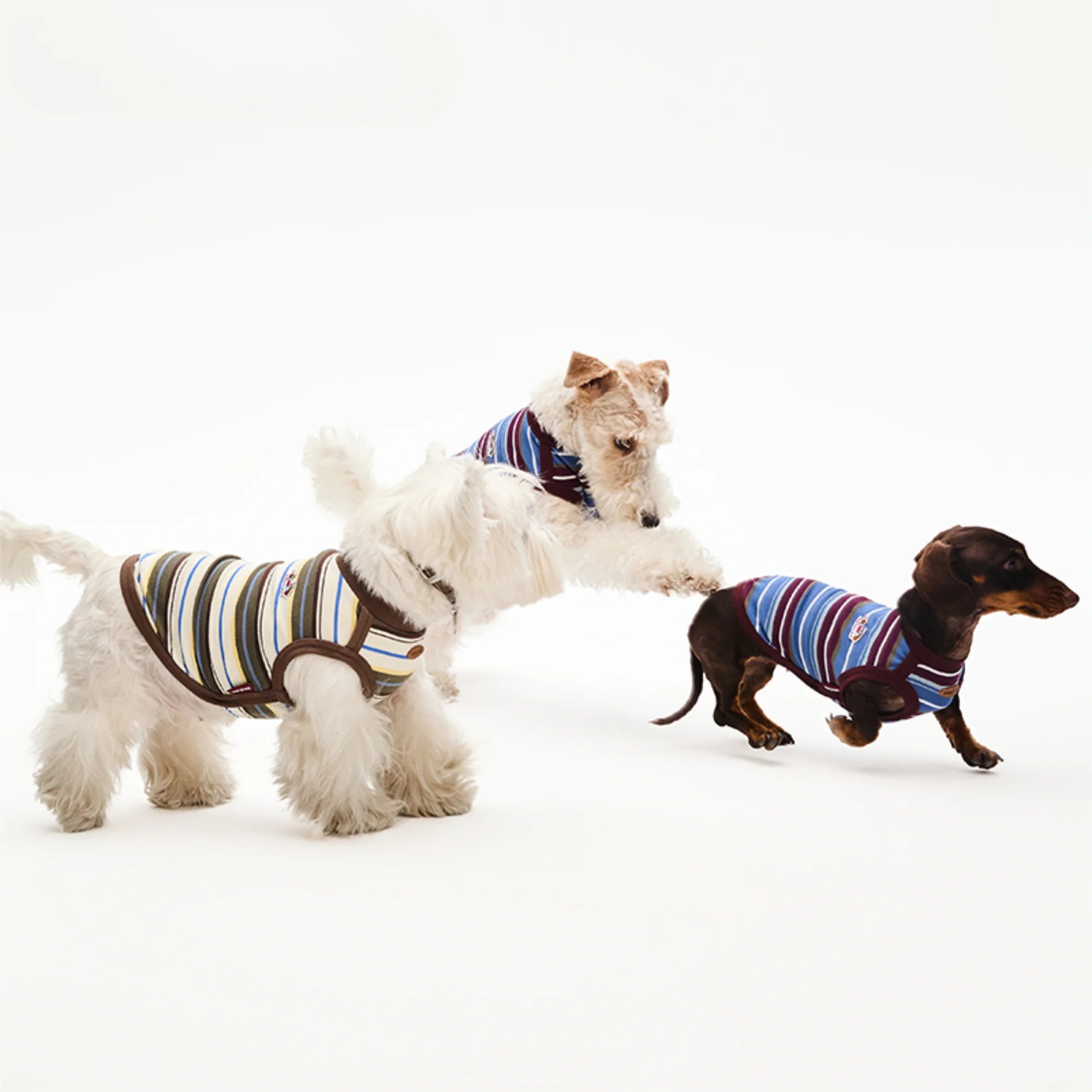 Matching Striped Summer Outfit for Dachshunds & Owners