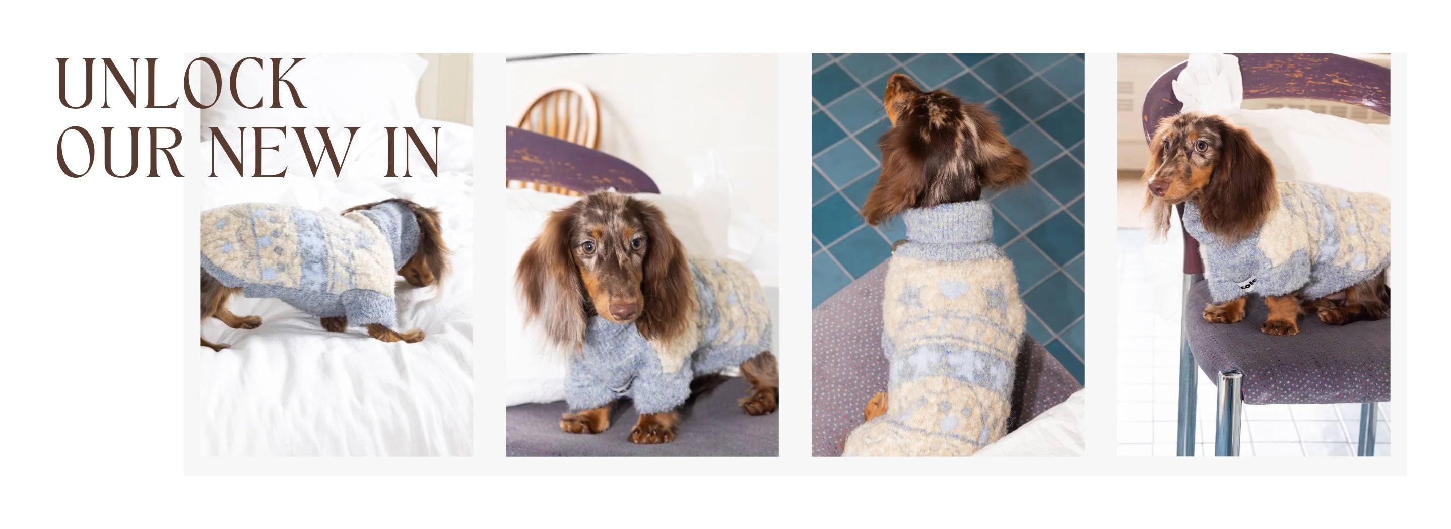 New in: Fair Isle Wool Turtleneck Sweater for Dachshunds