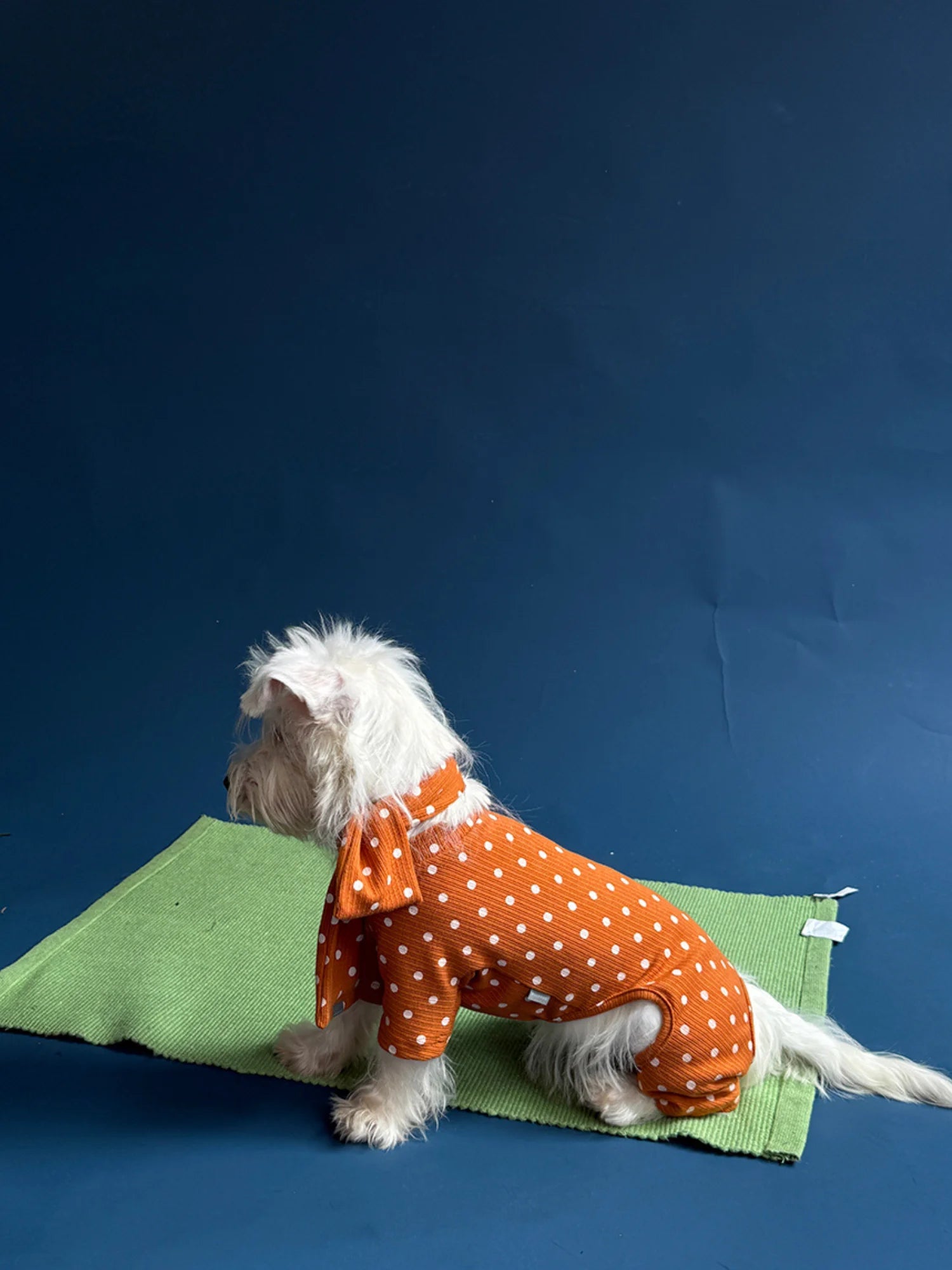 Polka Dot Onesie with Scarf for Dachshunds - Orange