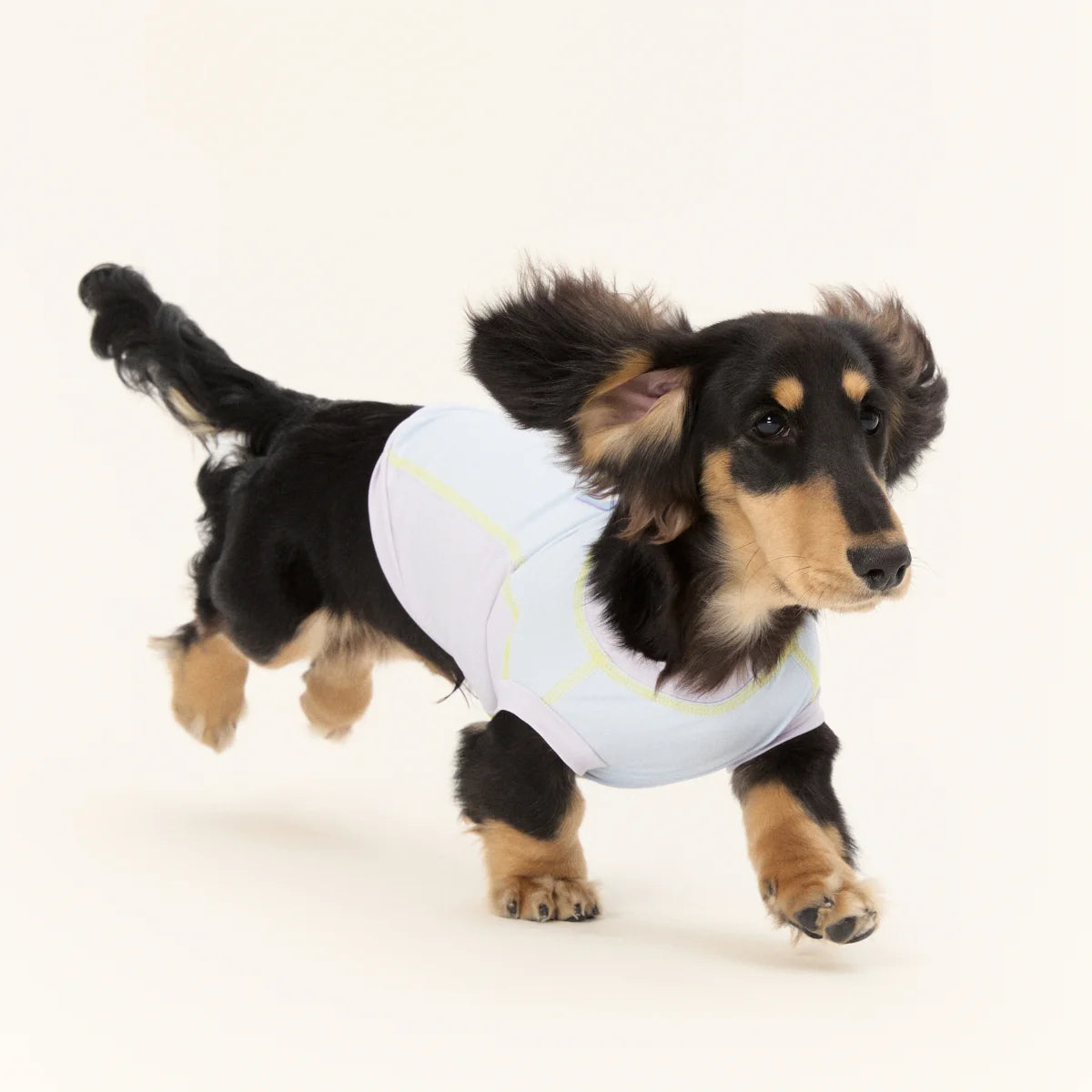 Purple Quick-drying Tank Tops for Dachshund