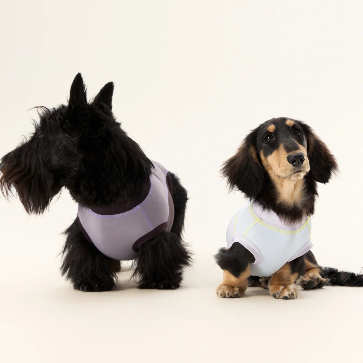 Purple Quick-drying Tank Tops for Dachshund