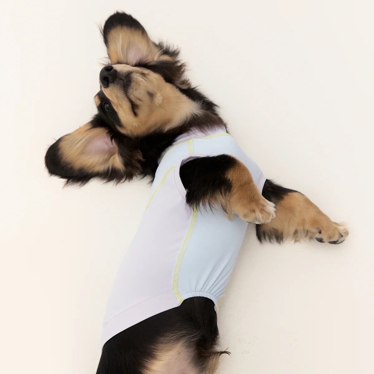 Purple Quick-drying Tank Tops for Dachshund