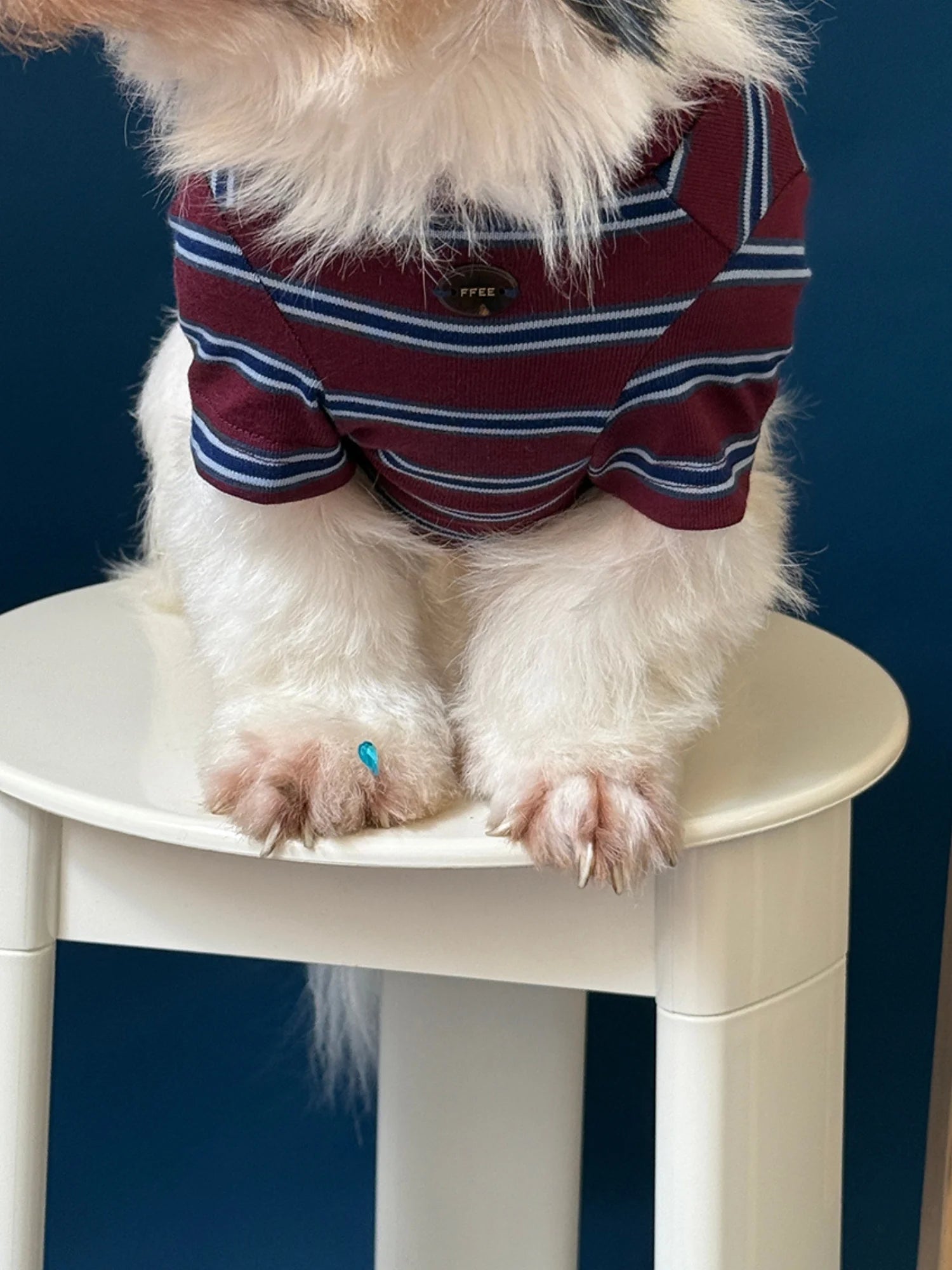 Red Blue Retro Striped T-shirts for Wiener Dog, Westie