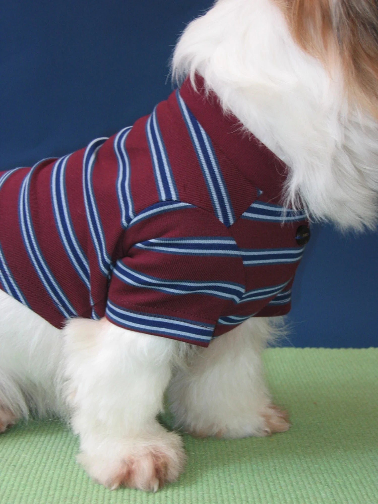 Red Blue Retro Striped T-shirts for Wiener Dog, Westie