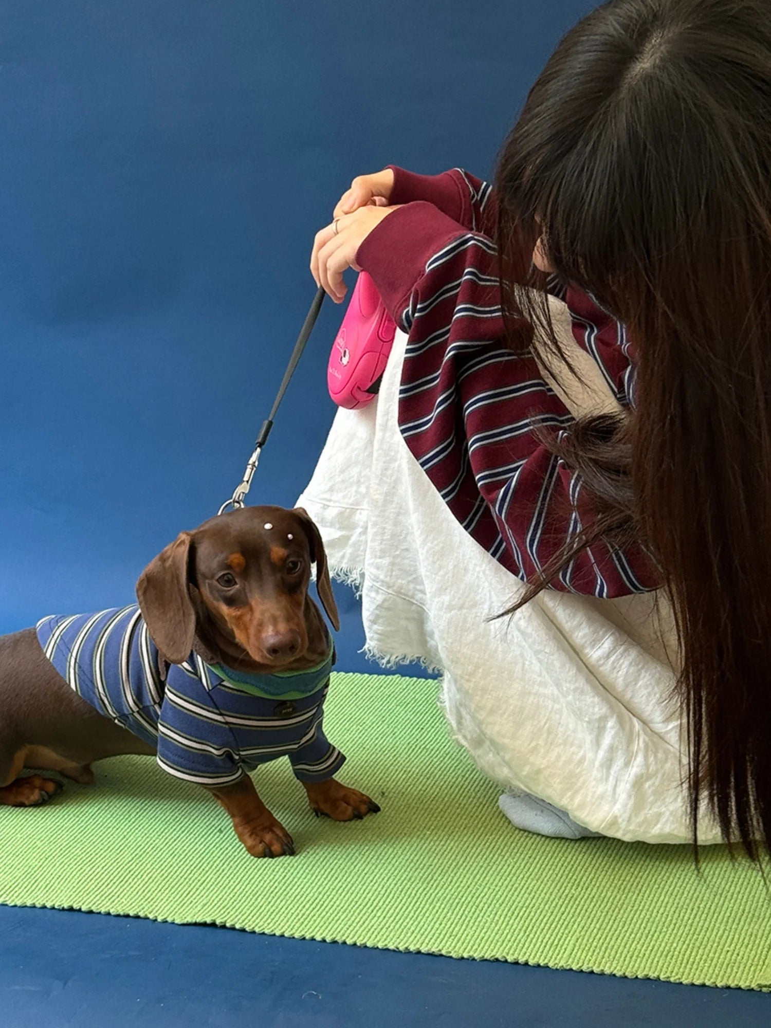 Red Blue Retro Striped T-shirts for Wiener Dog, Westie