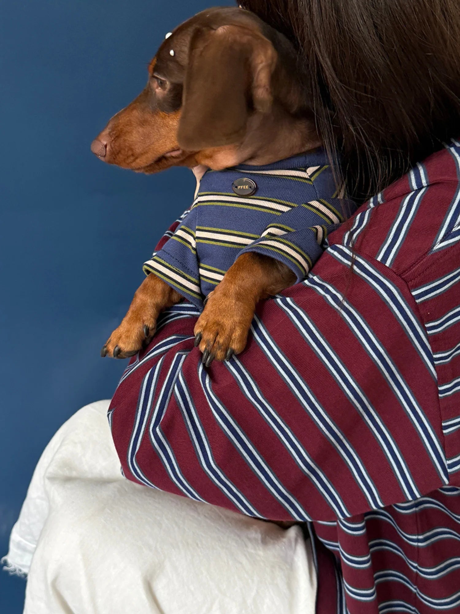 Red Blue Retro Striped T-shirts for Wiener Dog, Westie