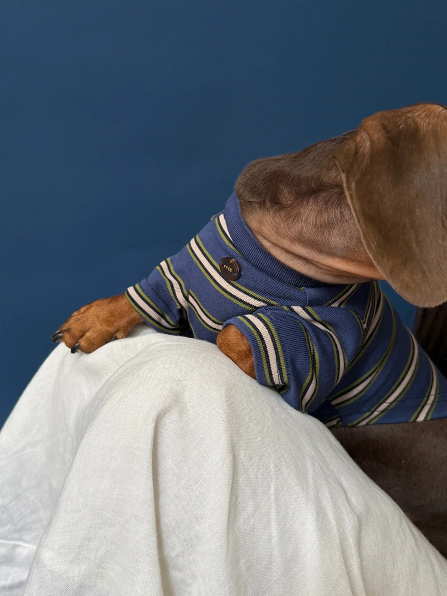 Red Blue Retro Striped T-shirts for Wiener Dog, Westie