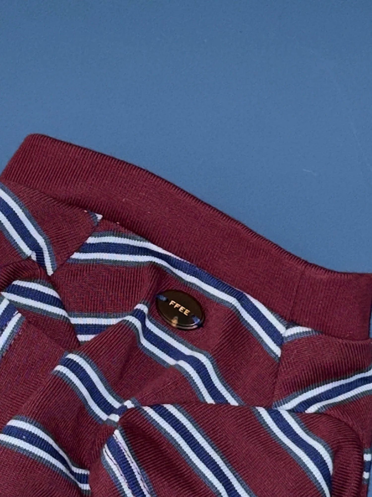 Red Blue Retro Striped T-shirts for Wiener Dog, Westie