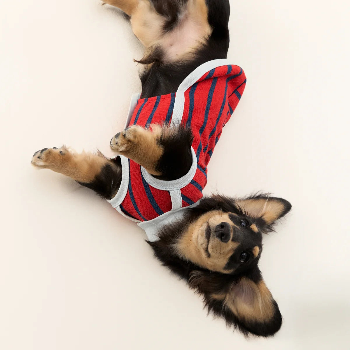 Red Striped Towel Fabric Tank Top for Dachshund