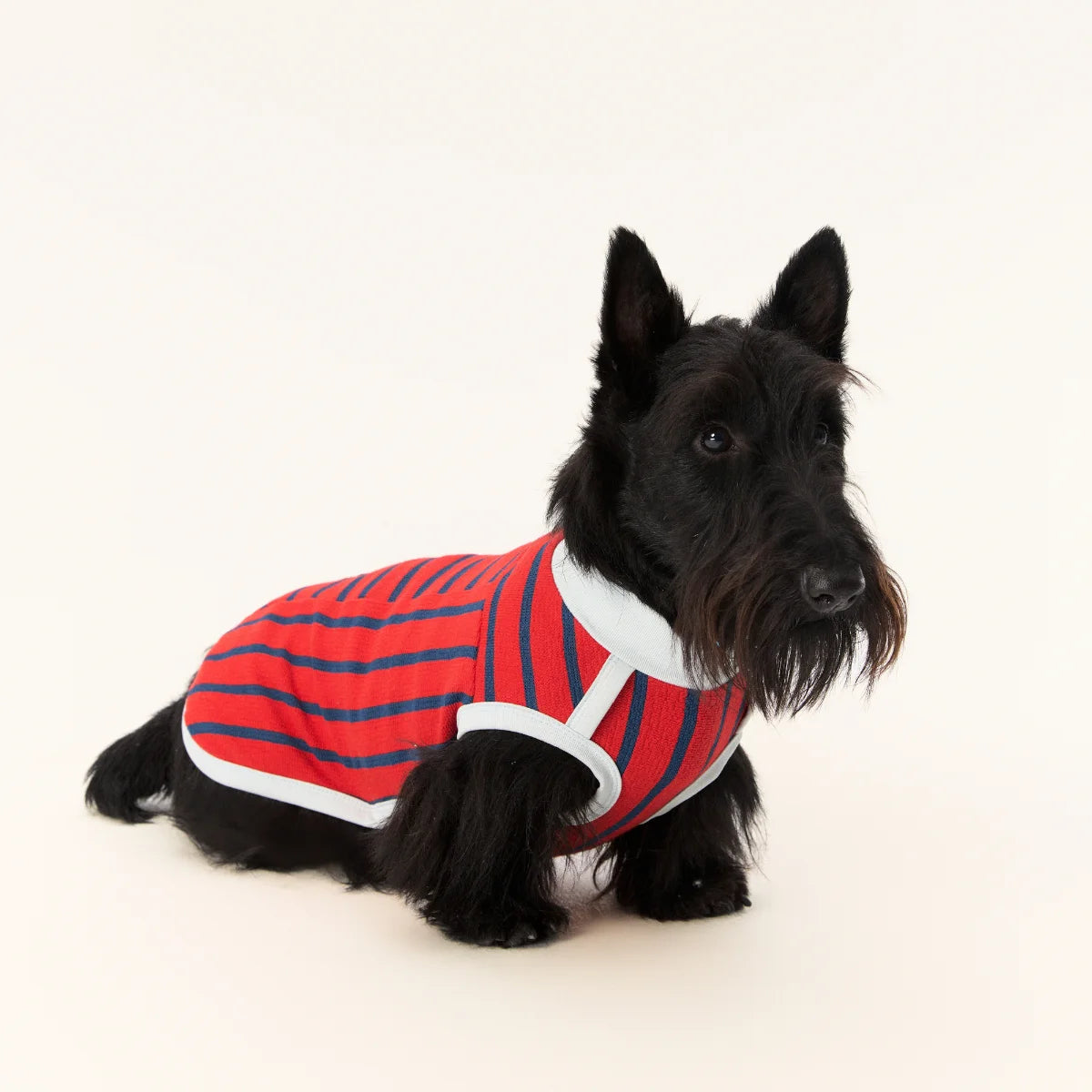 Red Striped Towel Fabric Tank Top for Dachshund