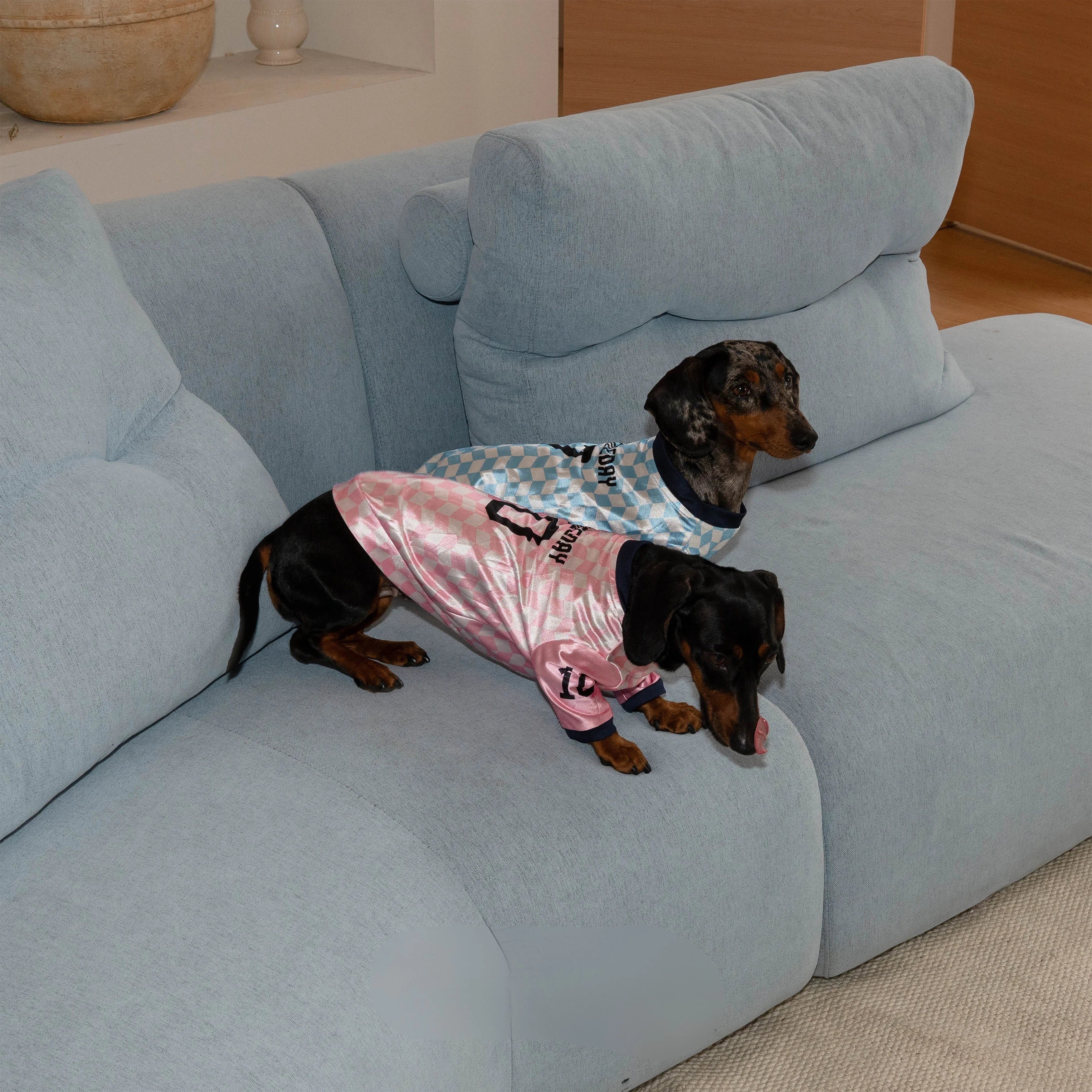 Retro Checkered Dachshund Jersey Shirt for Summer Wiener Dogs
