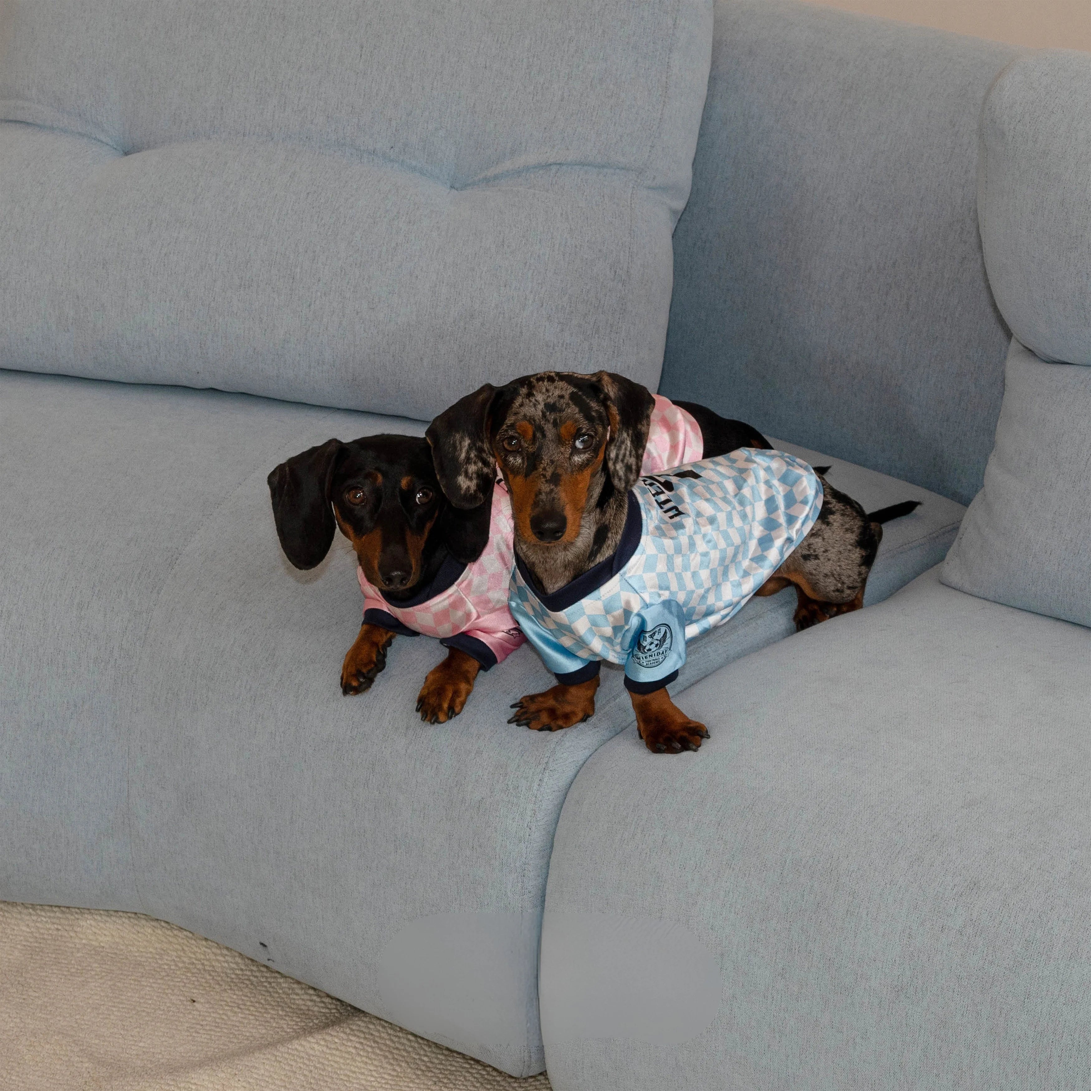 Retro Checkered Dachshund Jersey Shirt for Summer Wiener Dogs