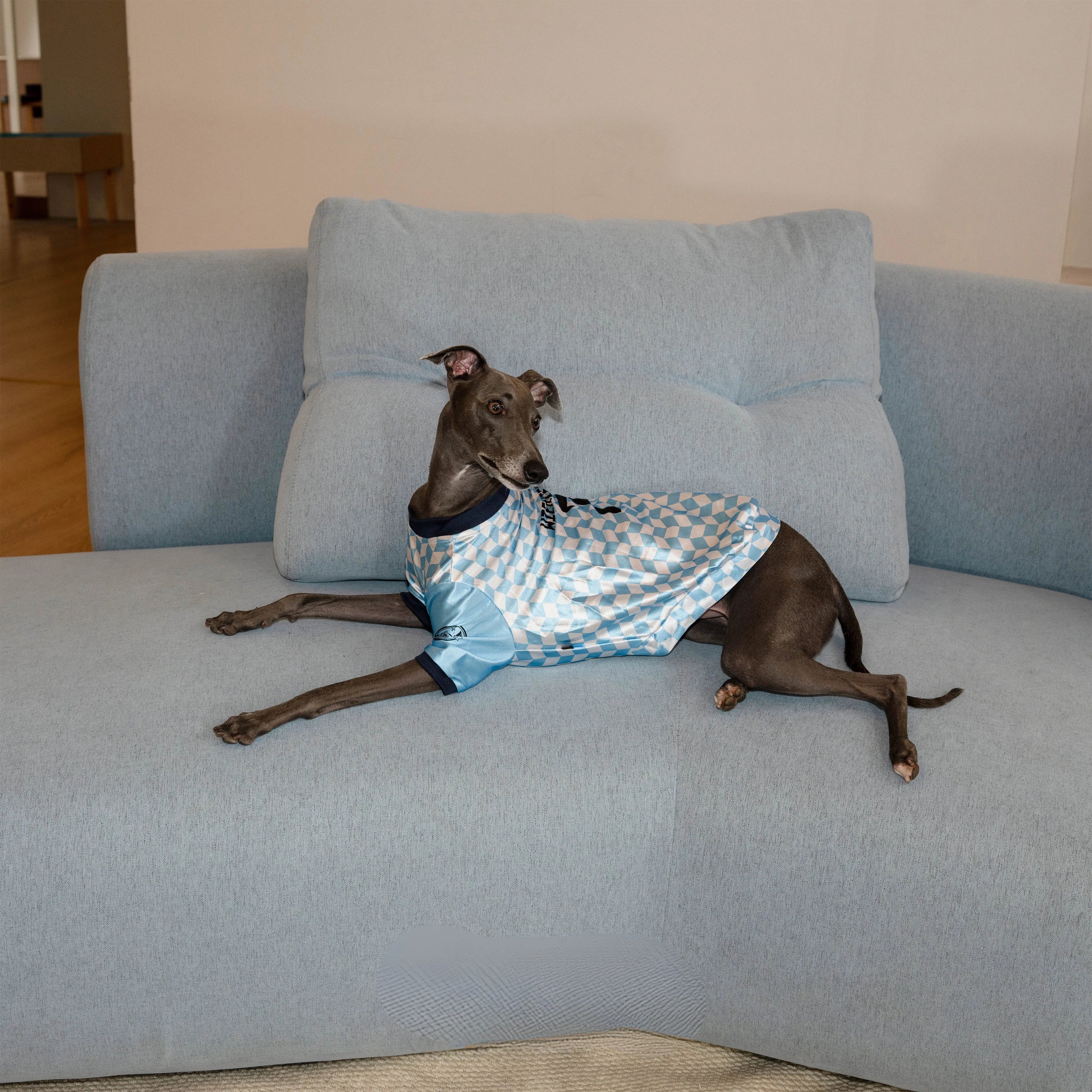 Retro Checkered Dachshund Jersey Shirt for Summer Wiener Dogs