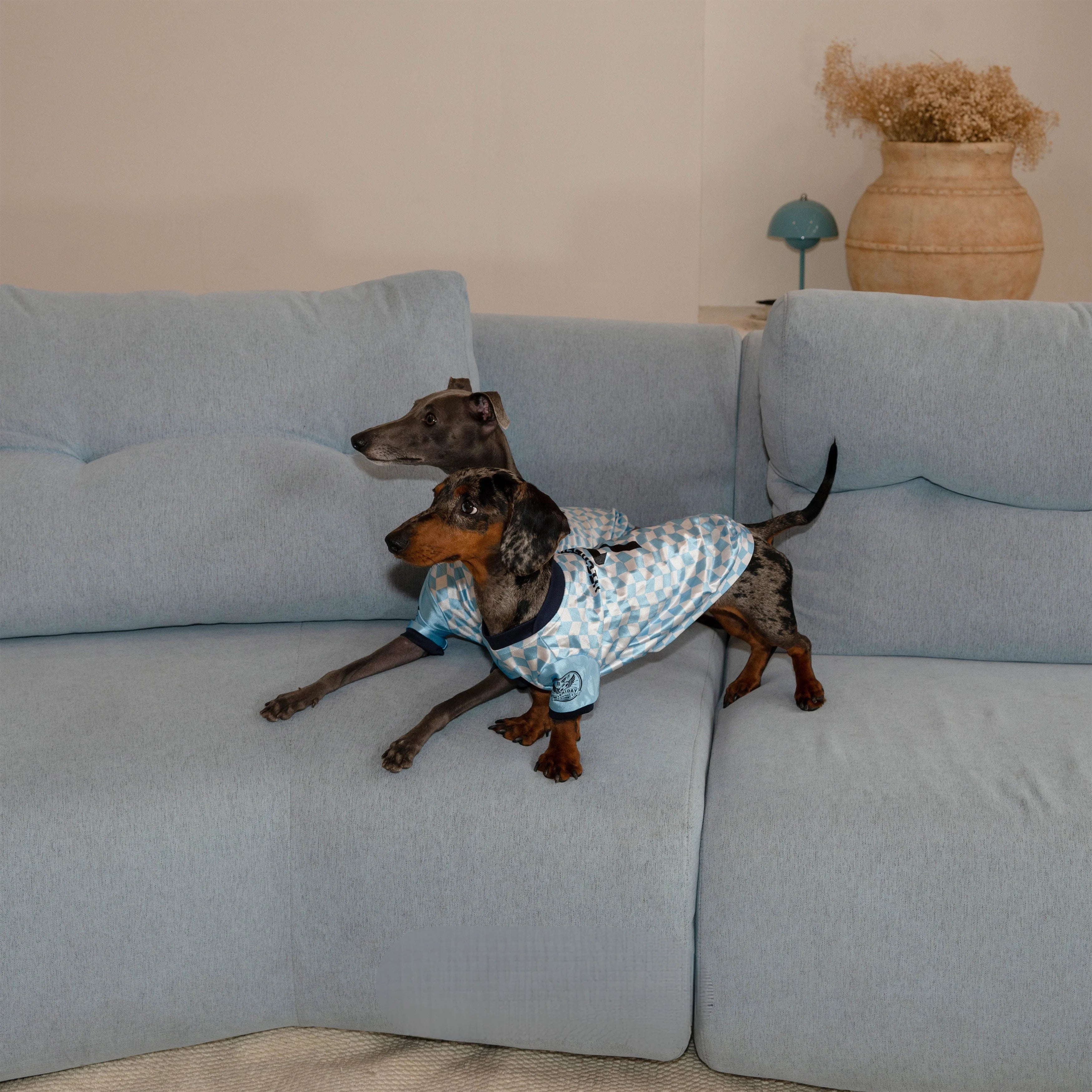 Retro Checkered Dachshund Jersey Shirt for Summer Wiener Dogs