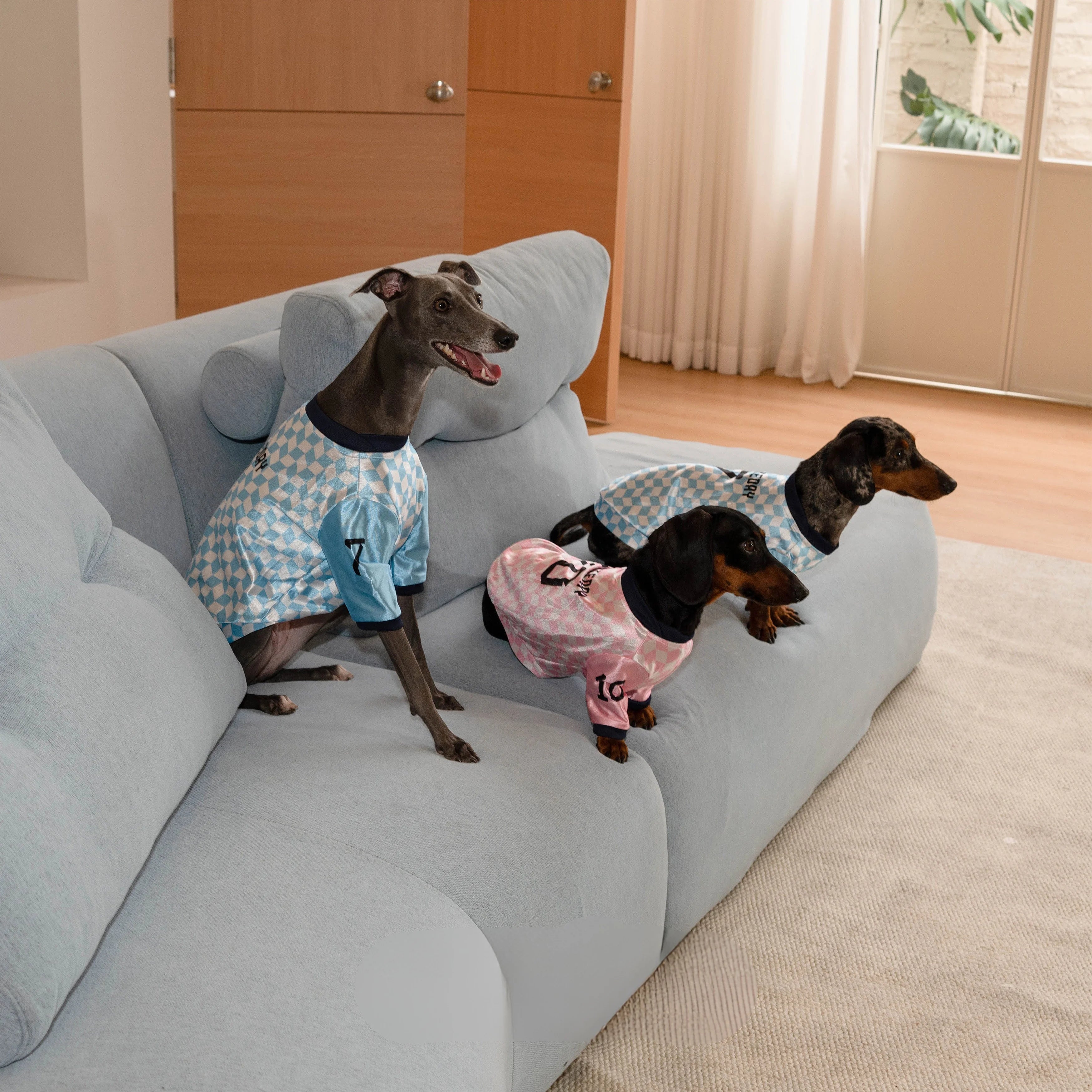 Retro Checkered Dachshund Jersey Shirt for Summer Wiener Dogs