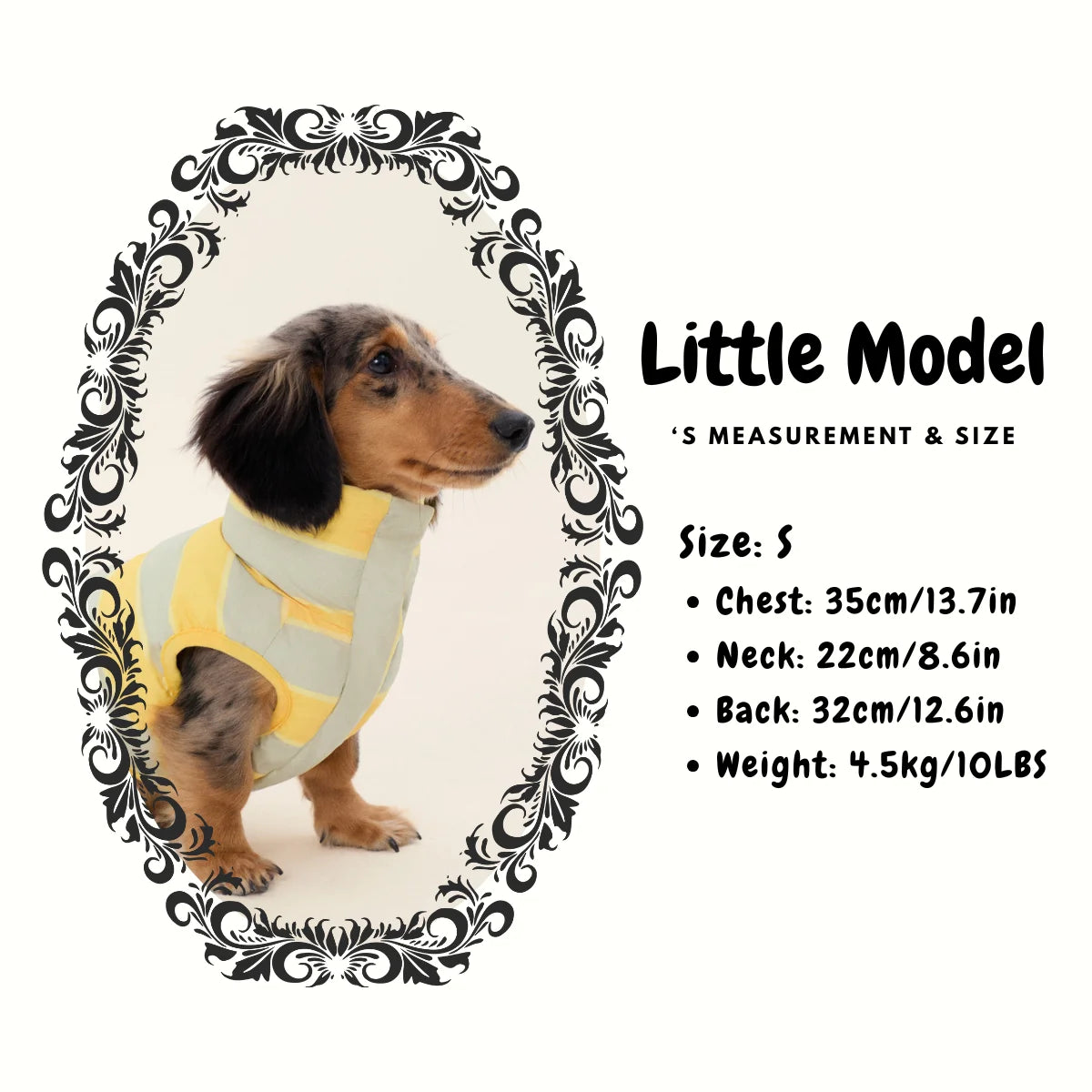 Reversible Cotton Vest Jacket for Dachshund - Model size