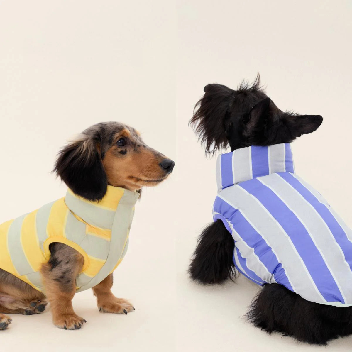 Reversible Cotton Vest Jacket for Dachshund