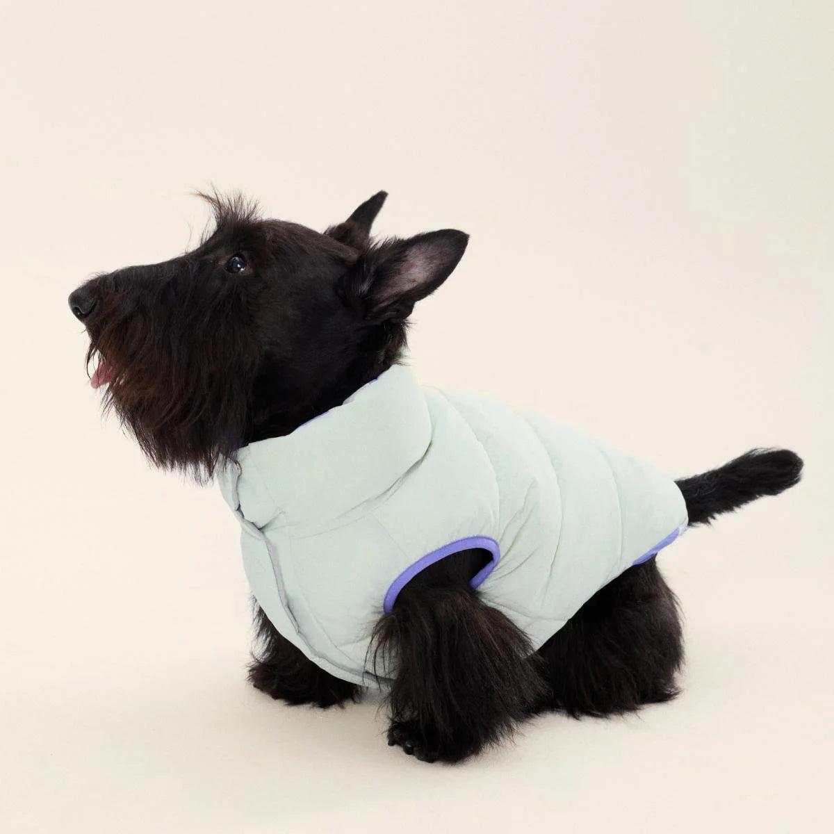 Reversible Cotton Vest Jacket for Dachshund