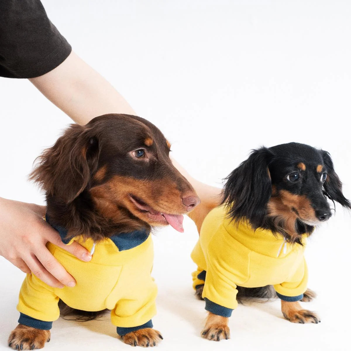 Stretch Fleece Warm Onesie for Dachshunds