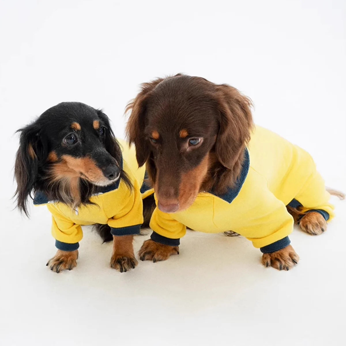 Stretch Fleece Warm Onesie for Dachshunds