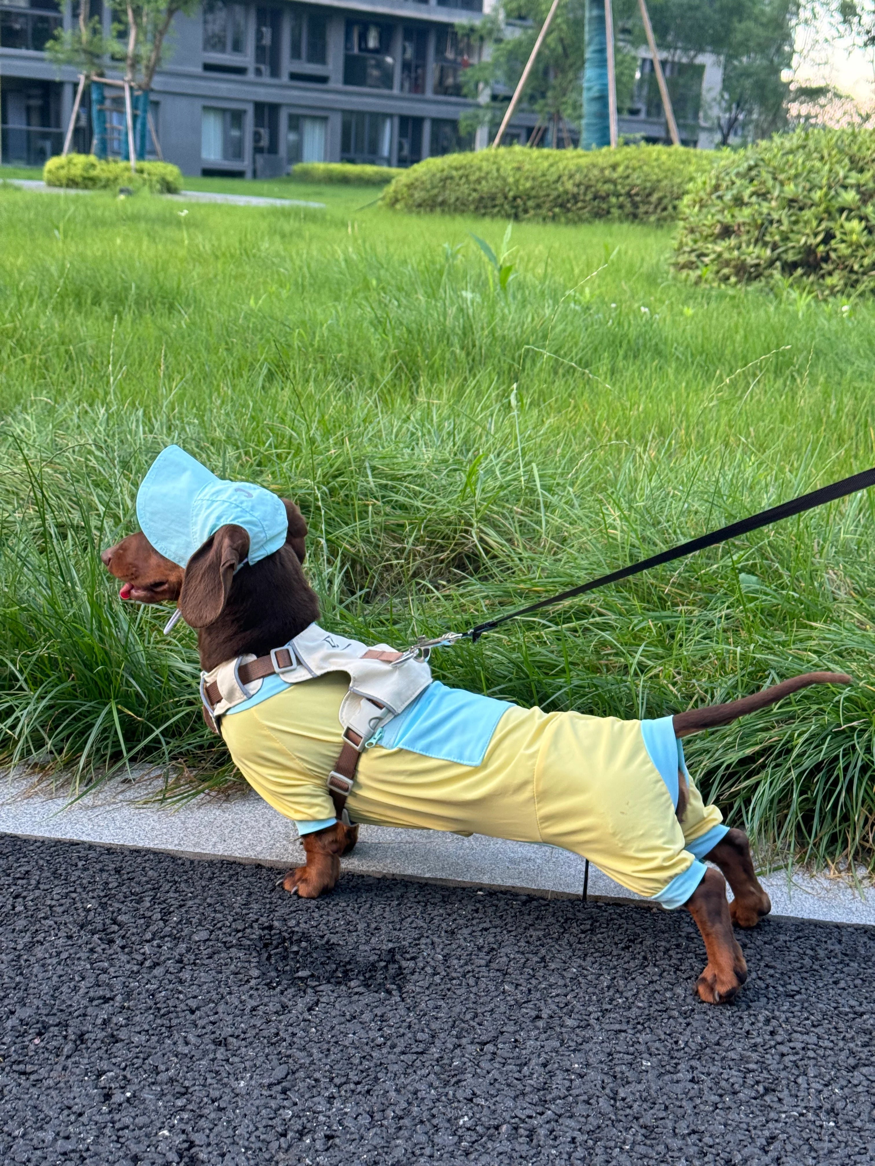 Summer Bright Yellow Cooling Onesie for Dachshunds