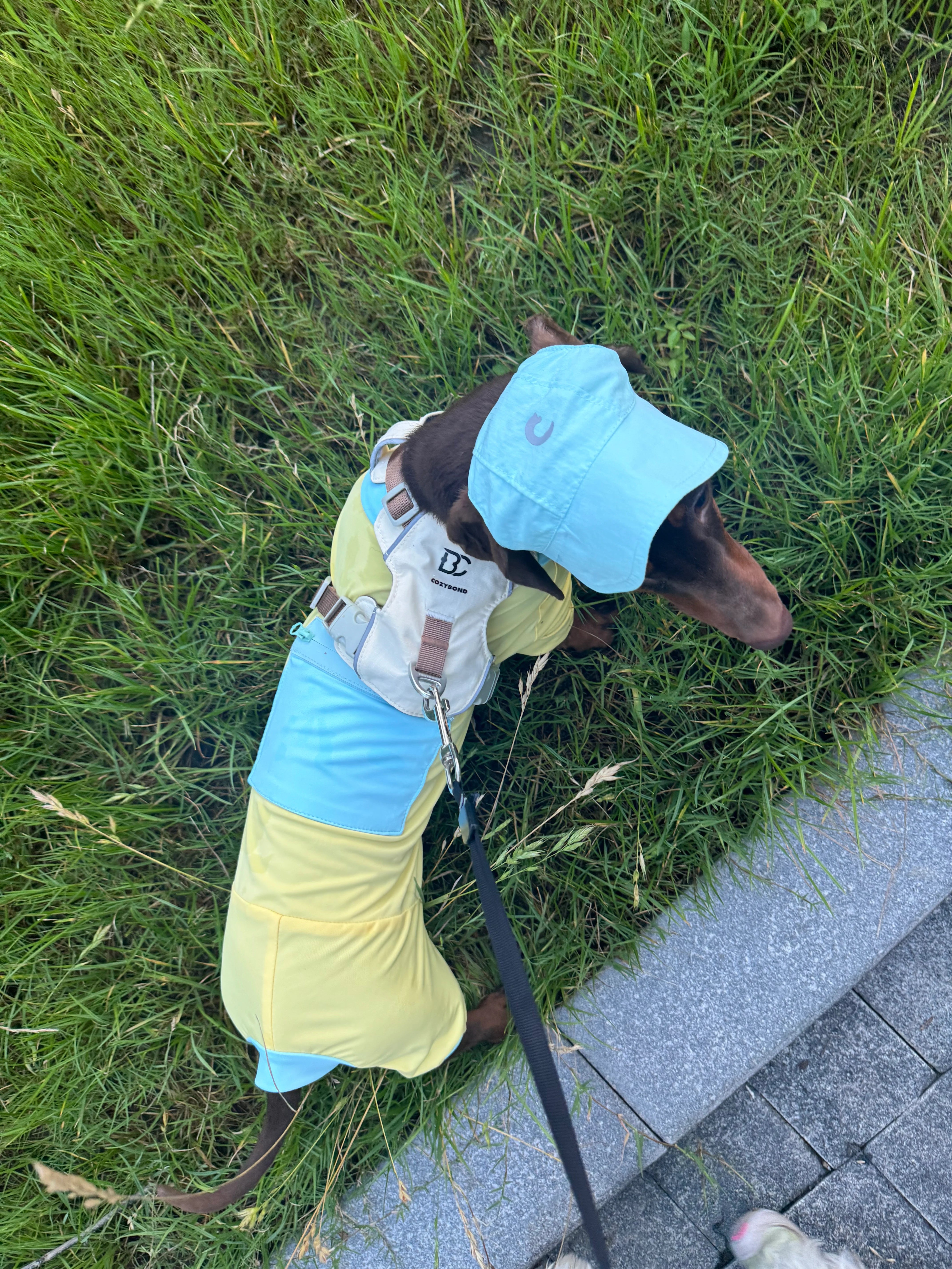 Summer Bright Yellow Cooling Onesie for Dachshunds