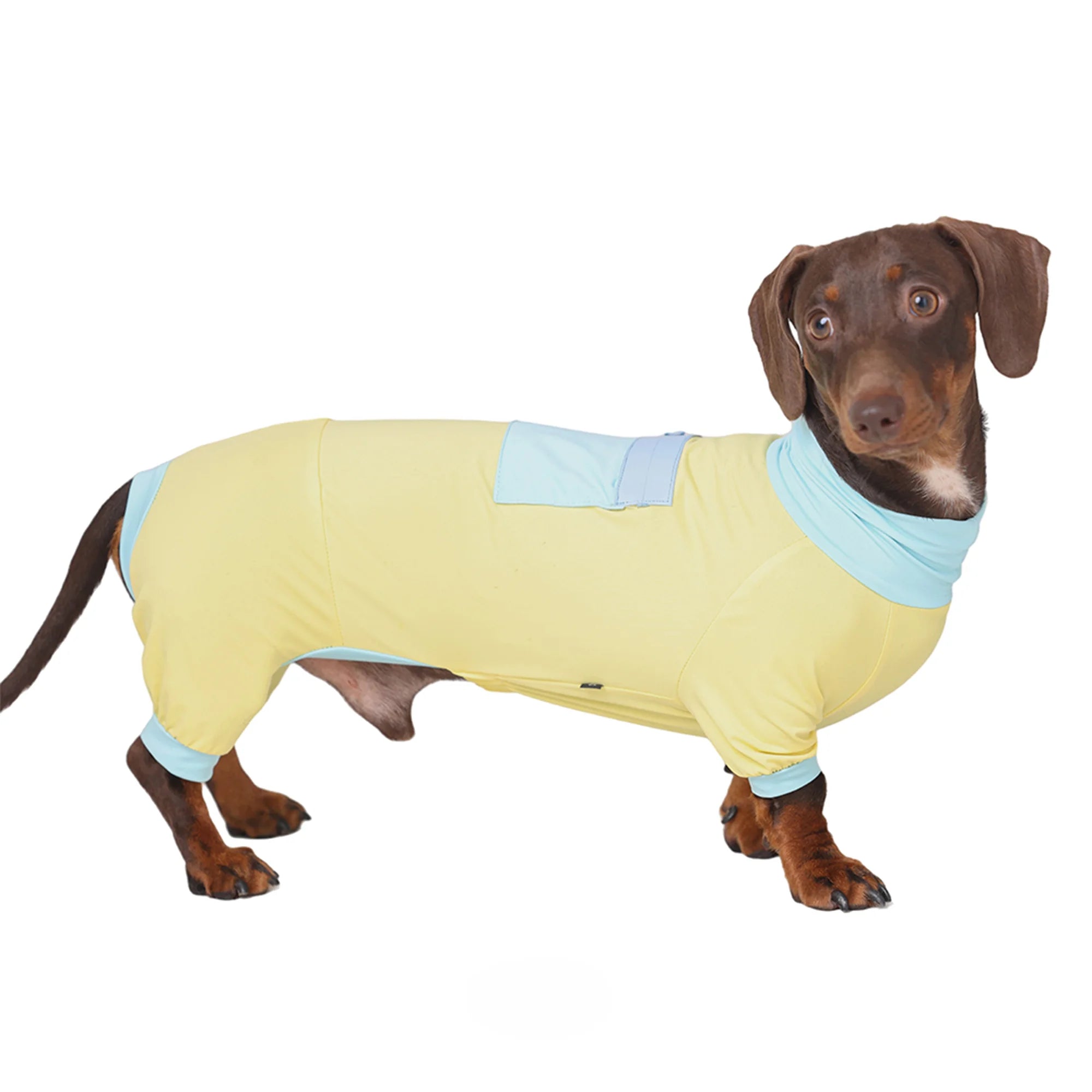 Summer Bright Yellow Cooling Onesie for Dachshunds