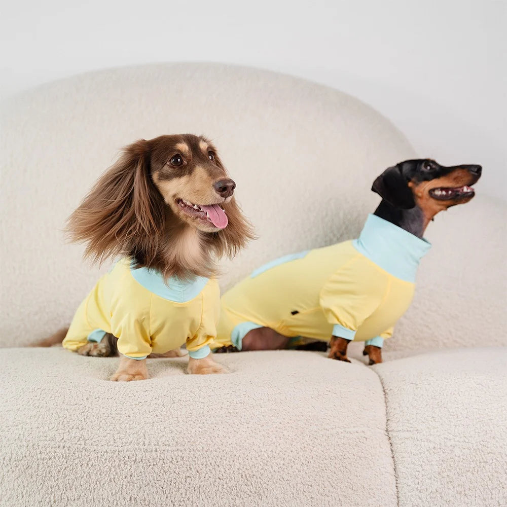 Summer Bright Yellow Cooling Onesie for Dachshunds