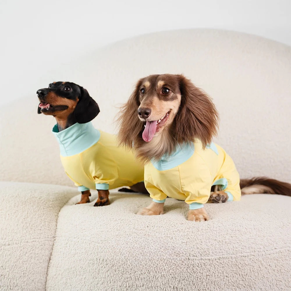 Summer Bright Yellow Cooling Onesie for Dachshunds