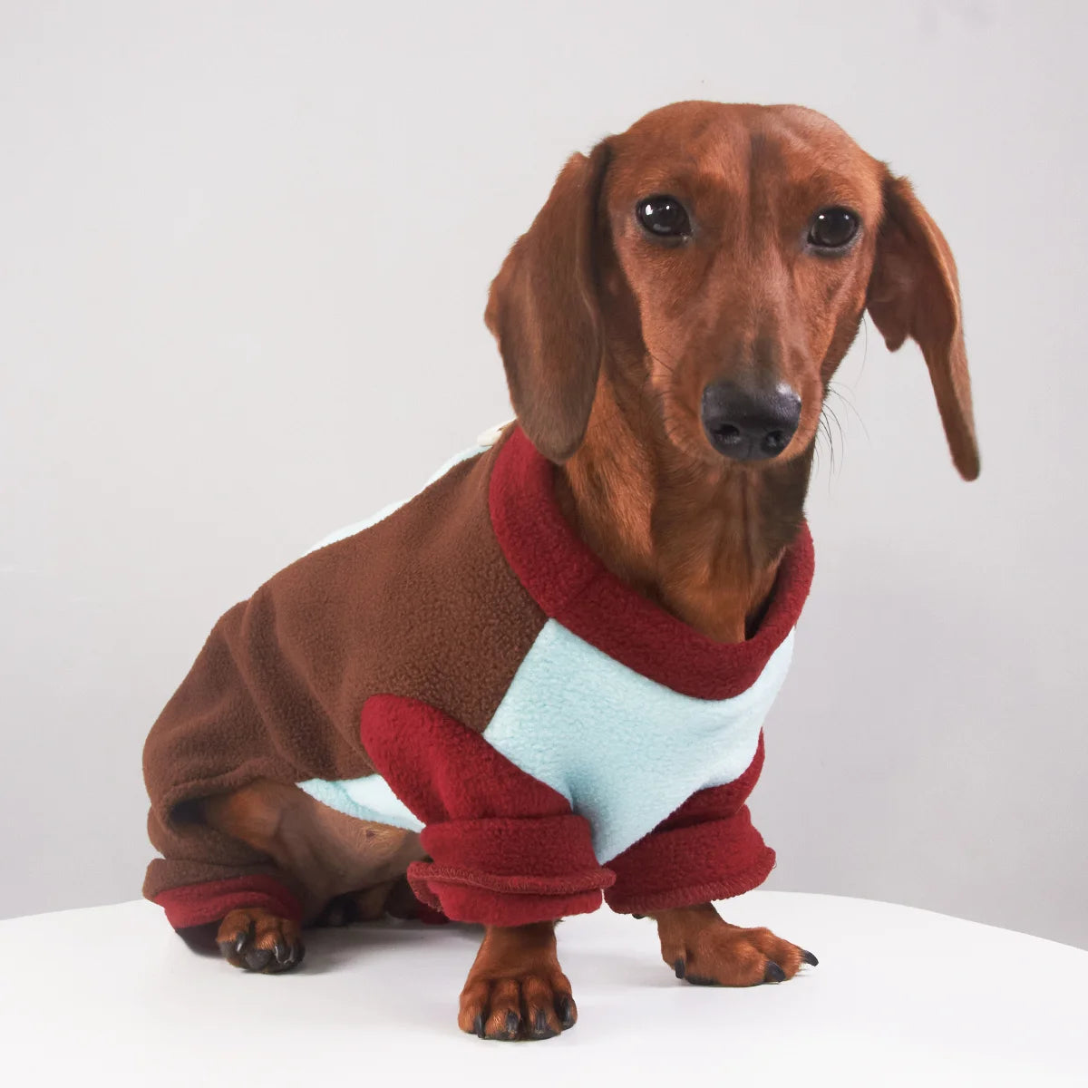 Tri-Color Fleece Dachshund Onesie with Leash Ring - Brown