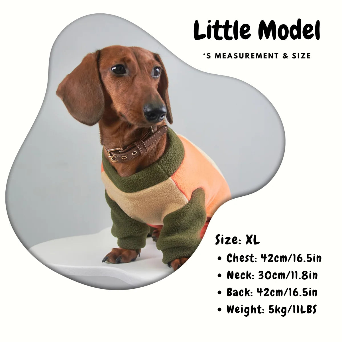 Tri-Color Fleece Dachshund Onesie with Leash Ring - Model Size