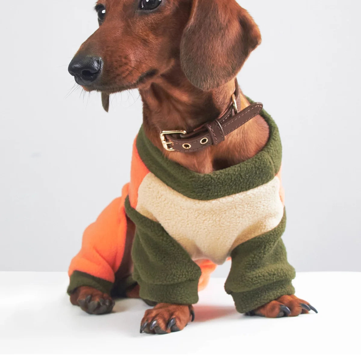 Tri-Color Fleece Dachshund Onesie with Leash Ring - Orange