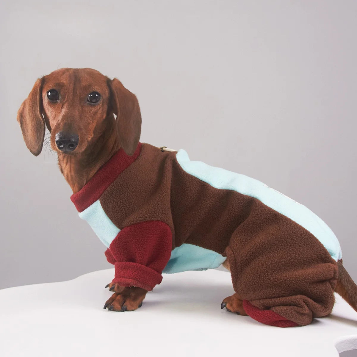 Tri-Color Fleece Dachshund Onesie with Leash Ring