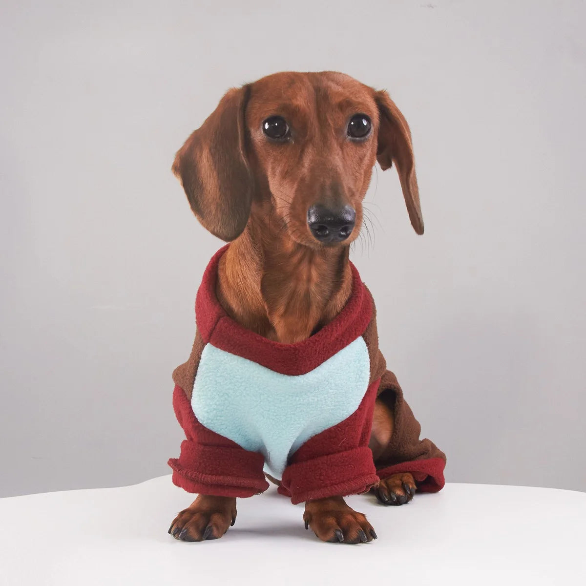 Tri-Color Fleece Dachshund Onesie with Leash Ring