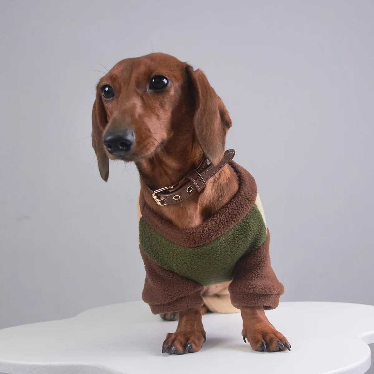 Tri-Color Fleece Dachshund Onesie with Leash Ring