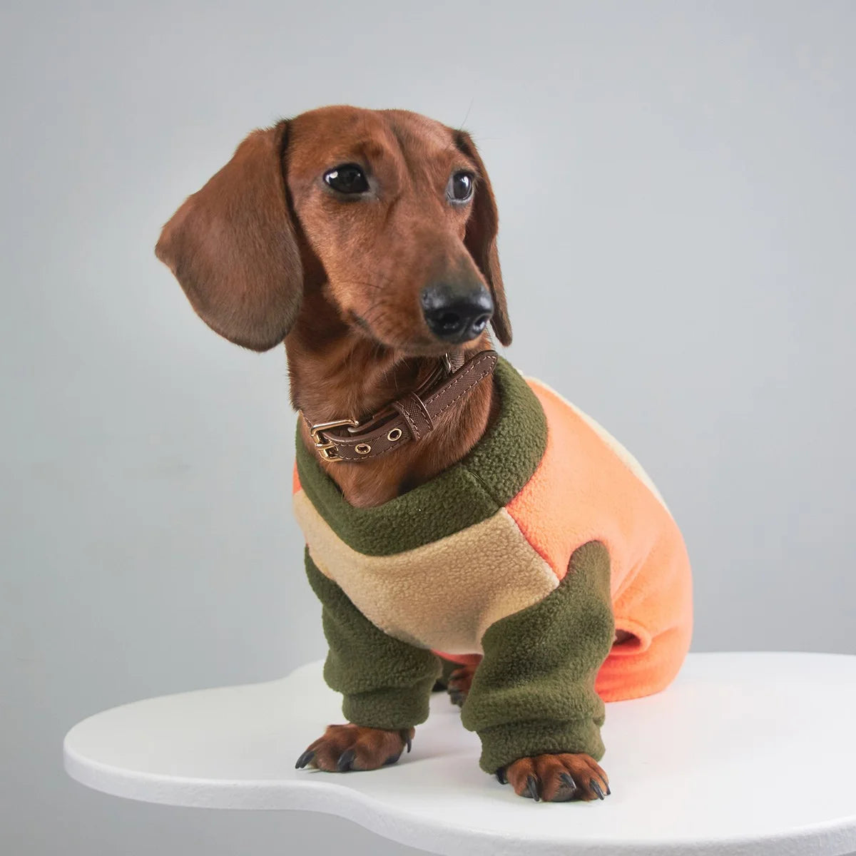 Tri-Color Fleece Dachshund Onesie with Leash Ring