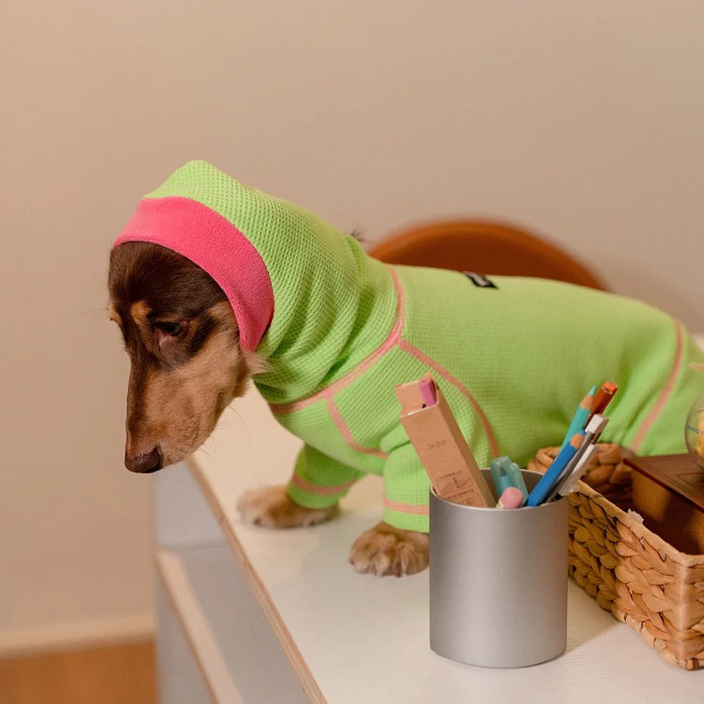 Waffle Knit Hooded Onesie for Dachshunds - Green