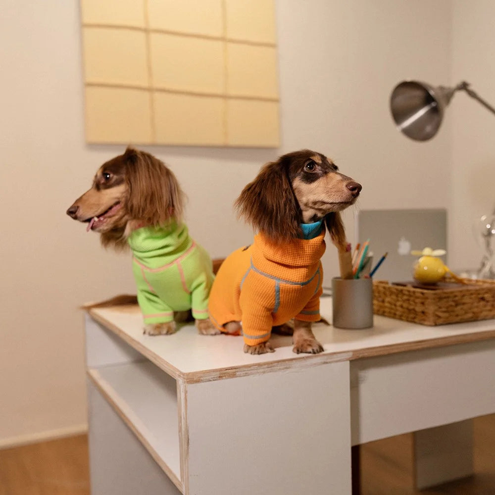 Waffle Knit Hooded Onesie for Dachshunds