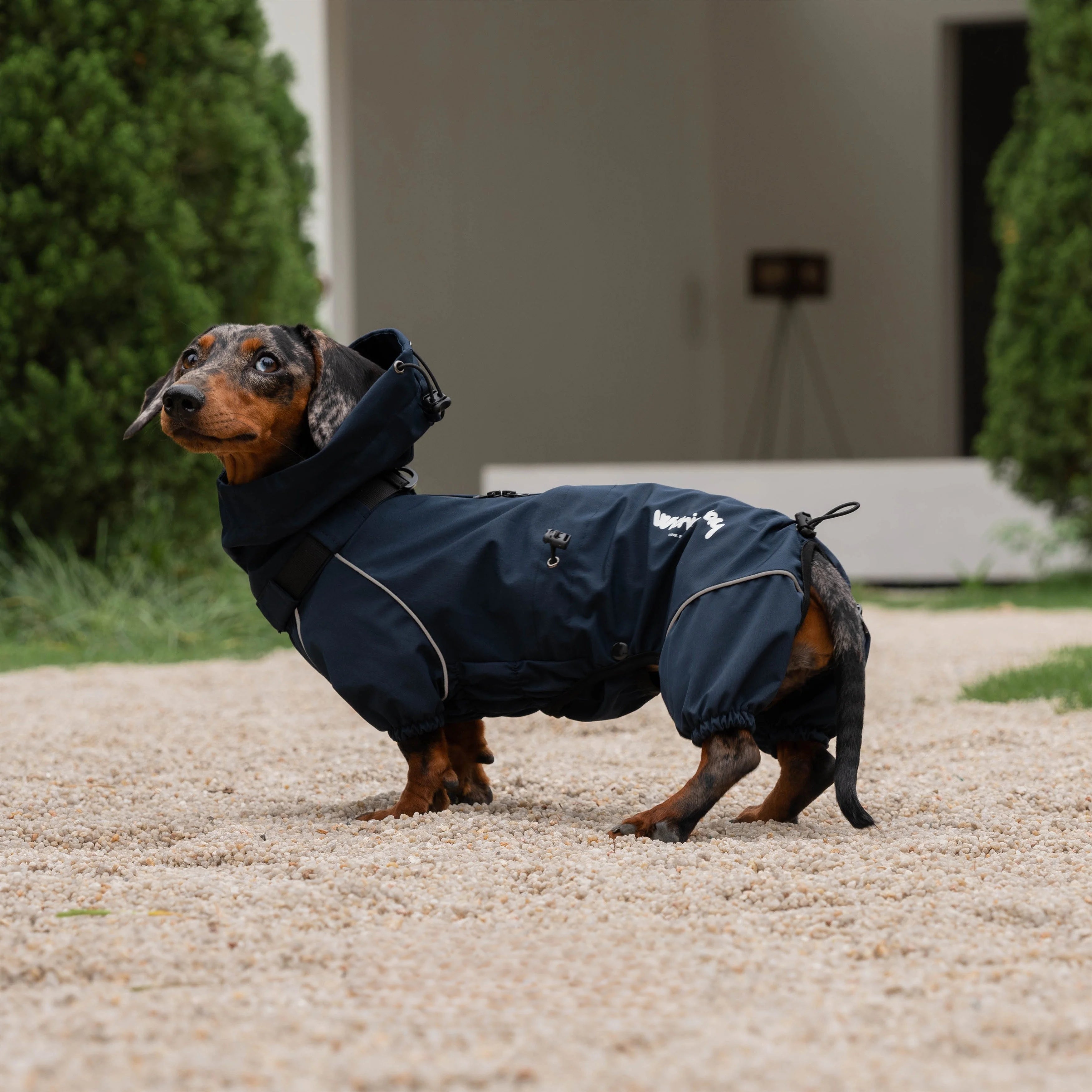Waterproof Full-Cover Raincoat for Dachshunds-Navy