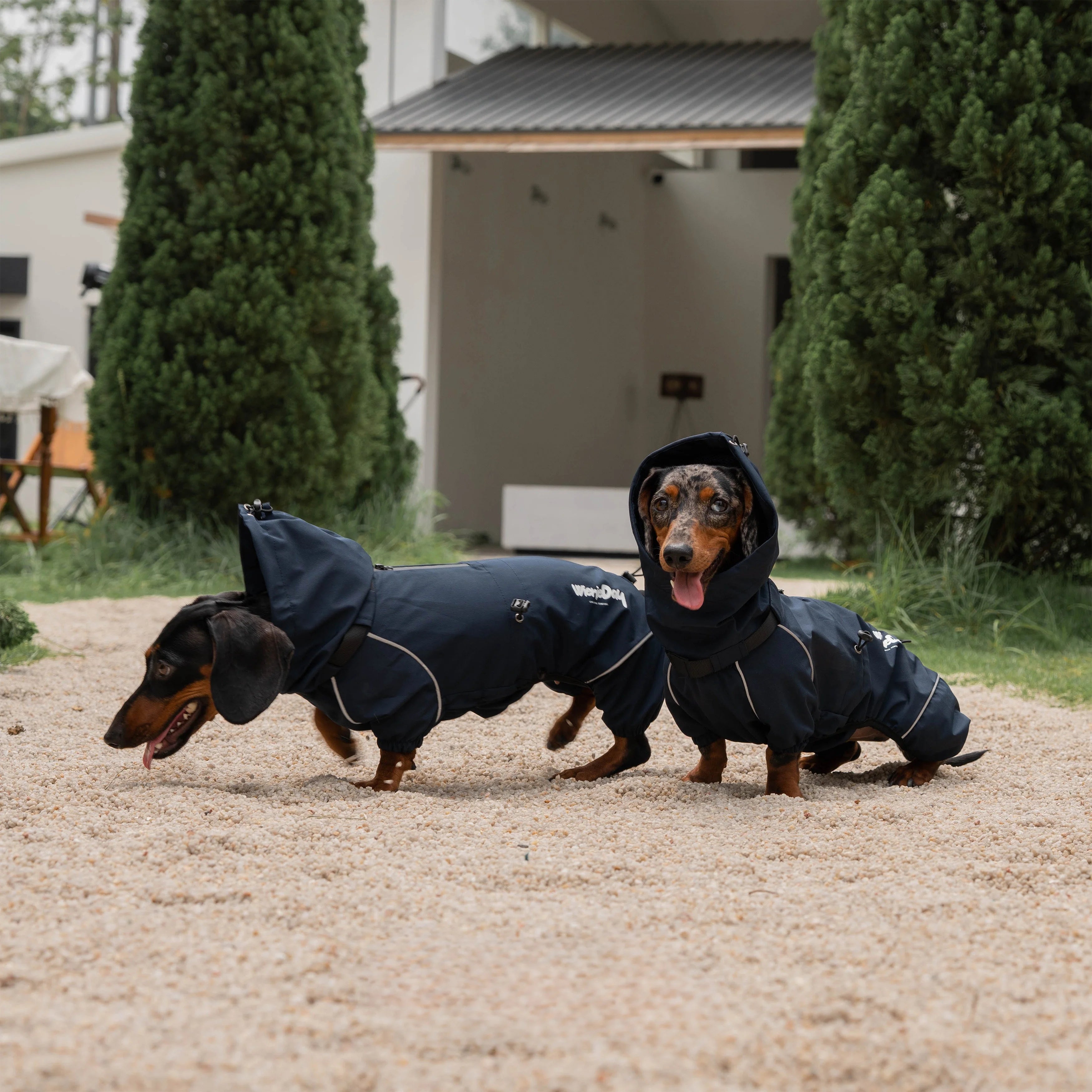 Waterproof Full-Cover Raincoat for Dachshunds-Navy
