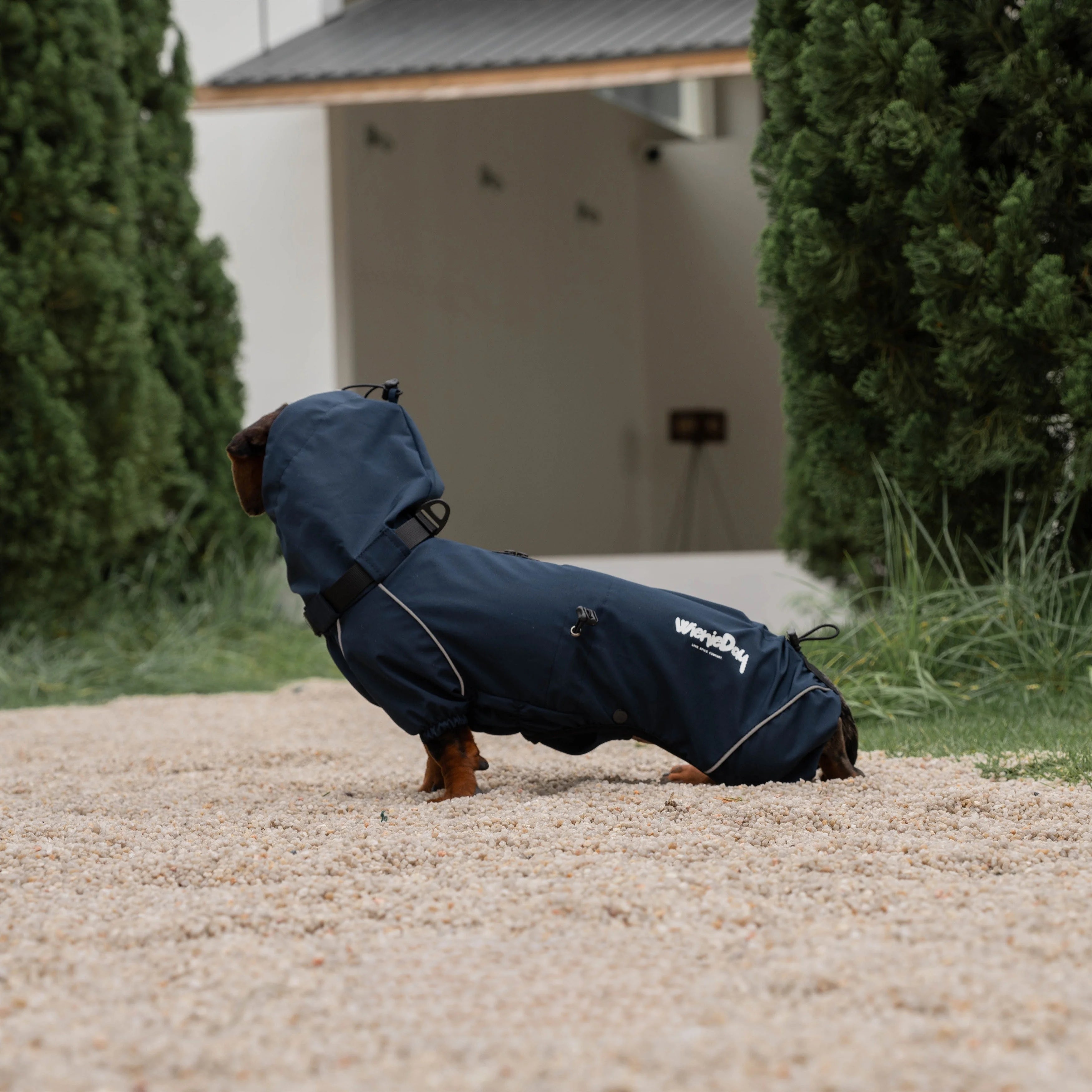 Waterproof Full-Cover Raincoat for Dachshunds-Navy